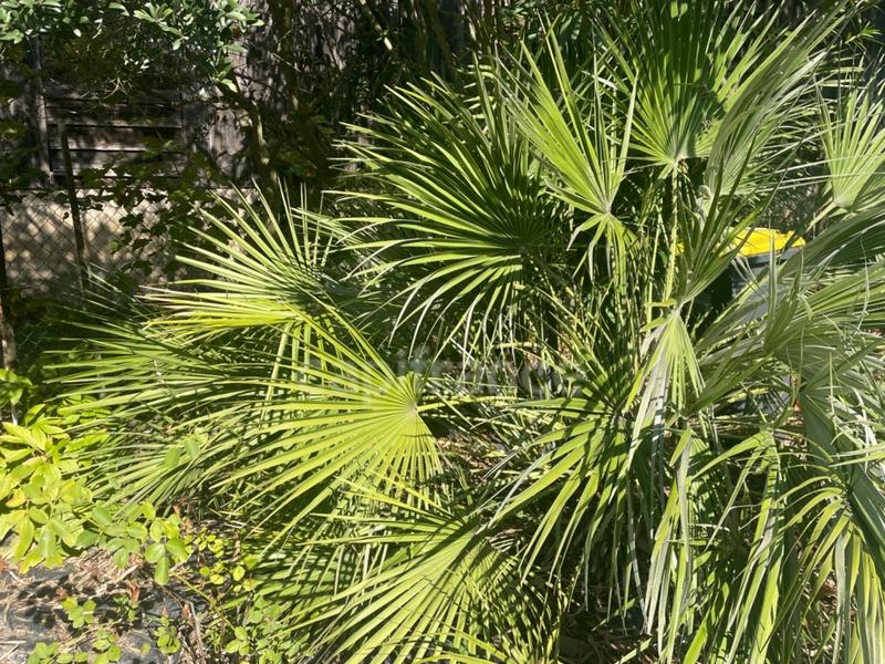 Maison - 155 m² - 6 pièces