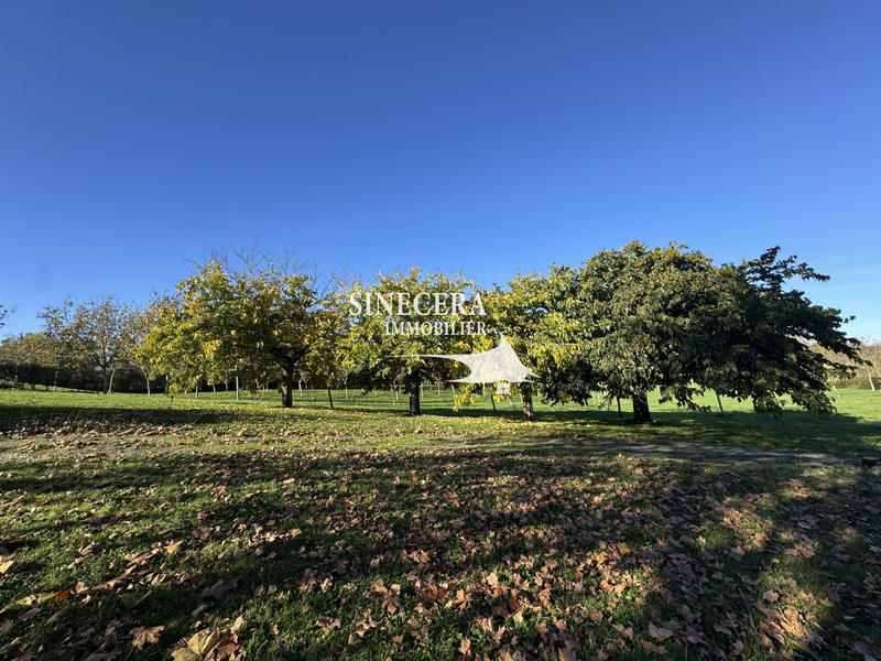 Maison traditionnelle - 160 m² - 9 pièces