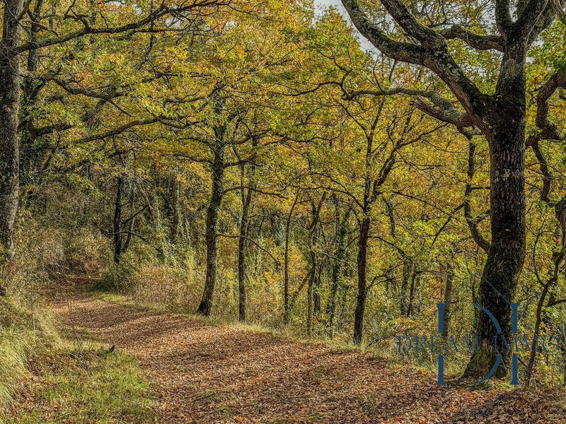 Maison - 166 m² - 6 pièces