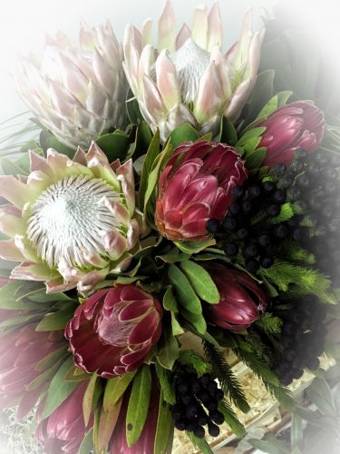 Le Jardin de Camille