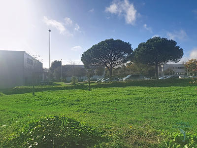 Appartement - 31 m² - 2 pièces