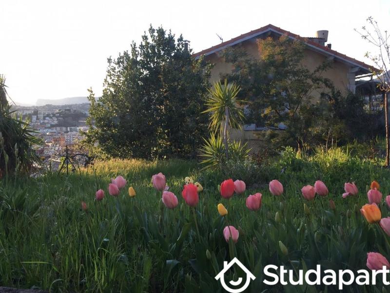 Appartement - 49 m² - 1 pièce