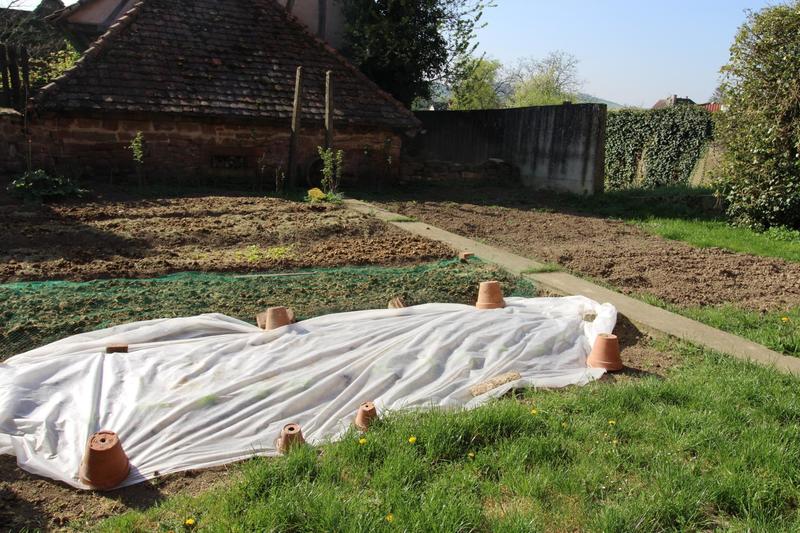 Ferme - 135 m² - 5 pièces