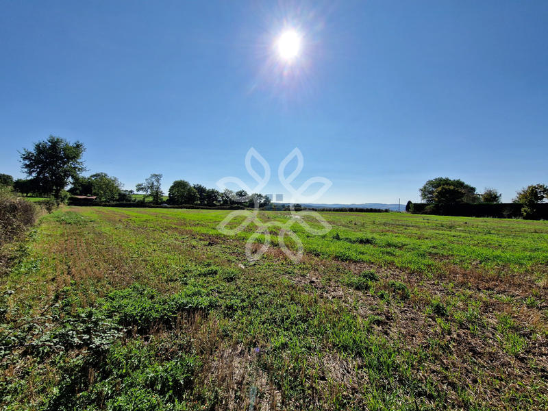 Terrain - 13 541 m²