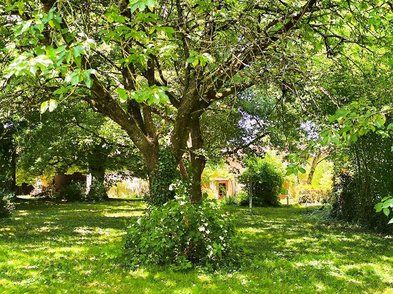 Maison - 146 m² - 5 pièces