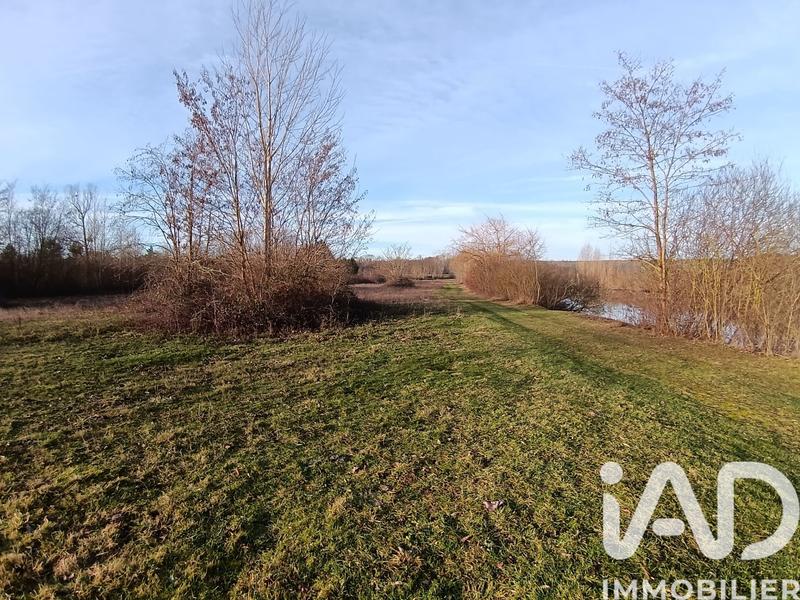 Terrain - 23 680 m²