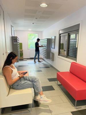 Studio - 19 m² - 1 pièce