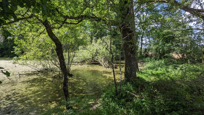 Terrain - 45 170 m²