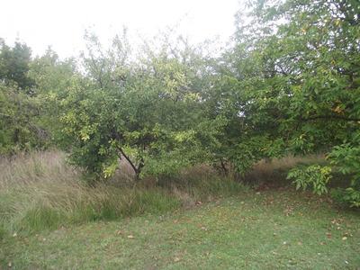 Terrain constructible - 2 378 m²