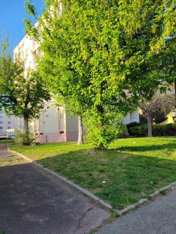 Appartement - 84 m² - 5 pièces