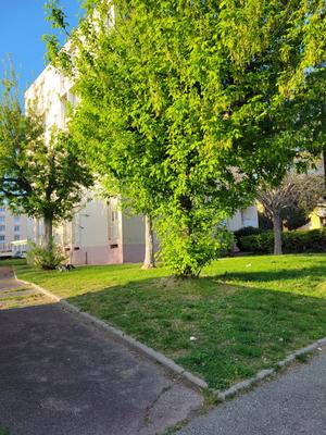 Appartement - 84 m² - 5 pièces