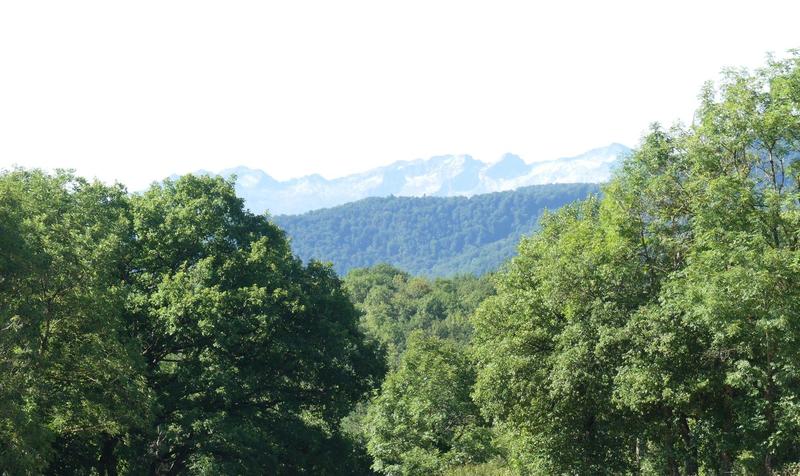 Maison - 201 m² - 8 pièces