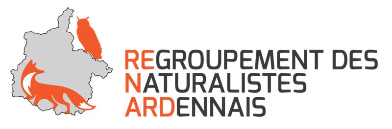 À la découverte du castor d'Europe