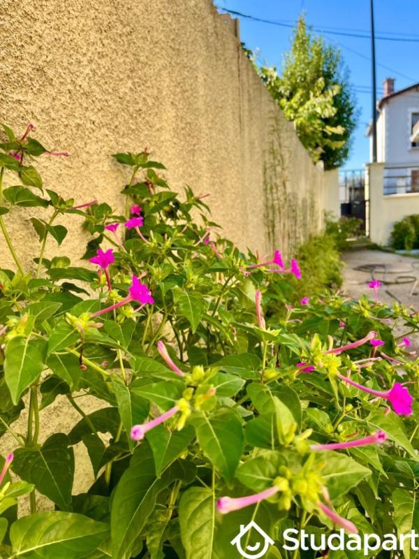 Chambre - 9 m² - 1 pièce