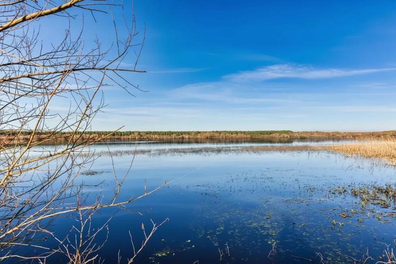 Appartement - 29 m² - 2 pièces