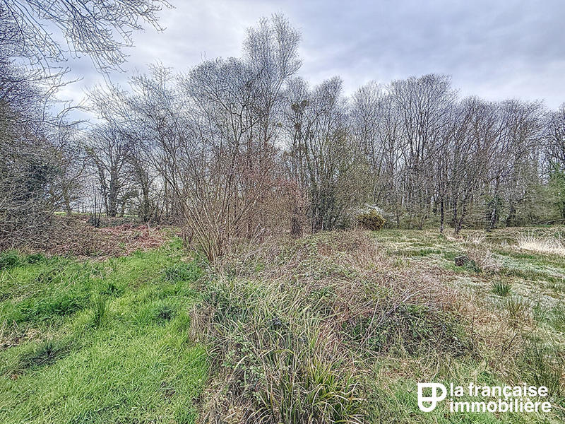 Terrain - 12 193 m²