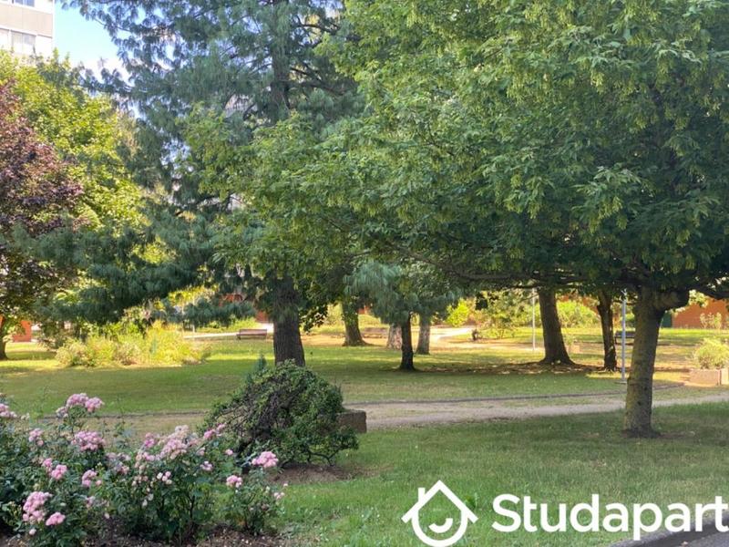 Chambre - 12 m² - 1 pièce