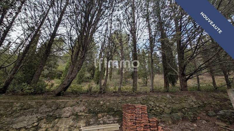 Terrain - 13 051 m²