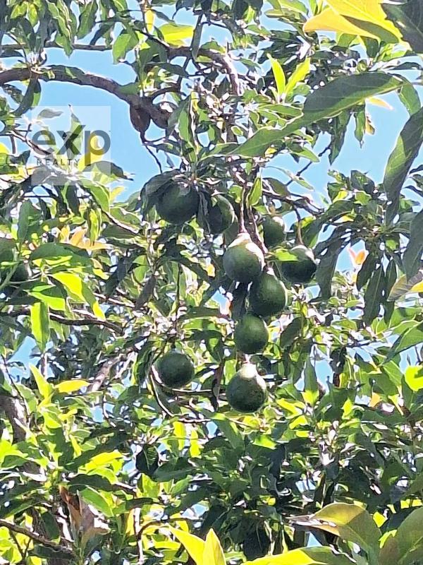 Maison - 127 m² - 4 pièces