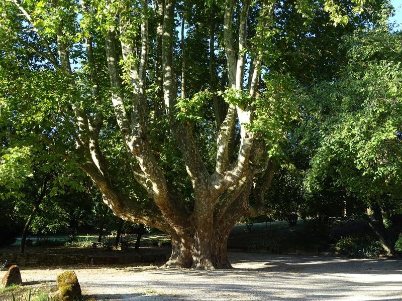 Maison - 390 m² - 16 pièces