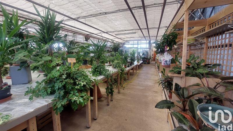 Local commercial - 5 500 m²