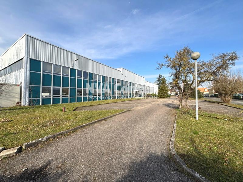 Local d'activités - 4 404 m²