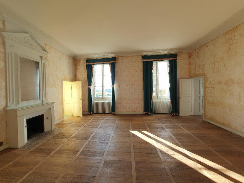 Château - 800 m² - 17 pièces