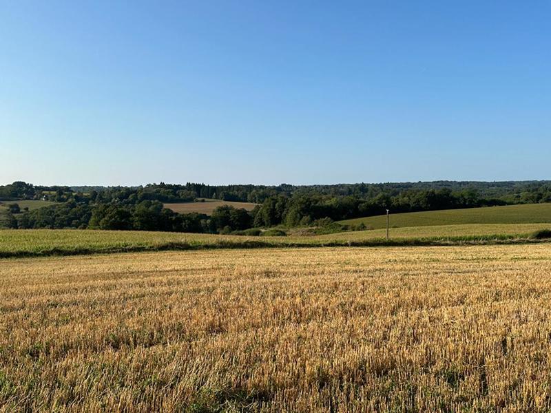 Corps de ferme - 1 600 m² - 1 pièce