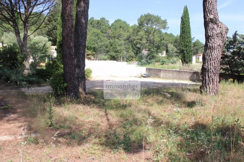 Terrain constructible - 1 203 m²