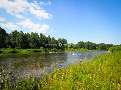 Local commercial - 10 000 m² - 10 pièces