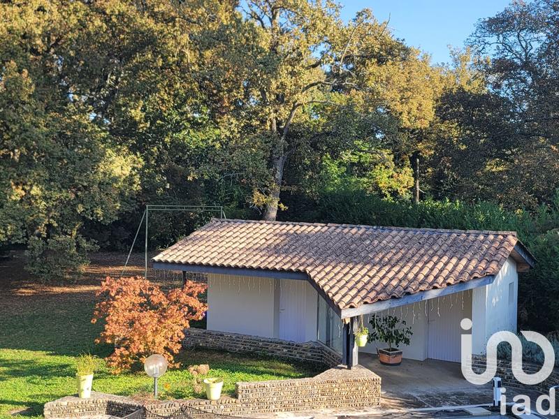 Maison de maîtres - 280 m² - 9 pièces