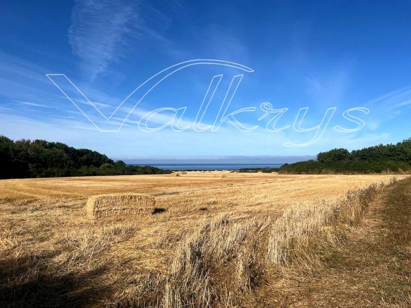 Corps de ferme - 300 m² - 4 pièces