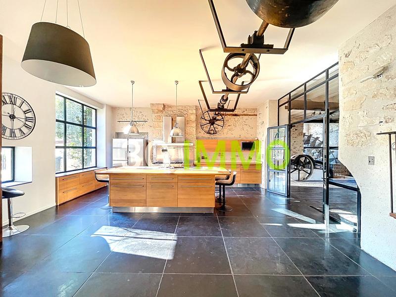 Moulin - 720 m² - 11 pièces