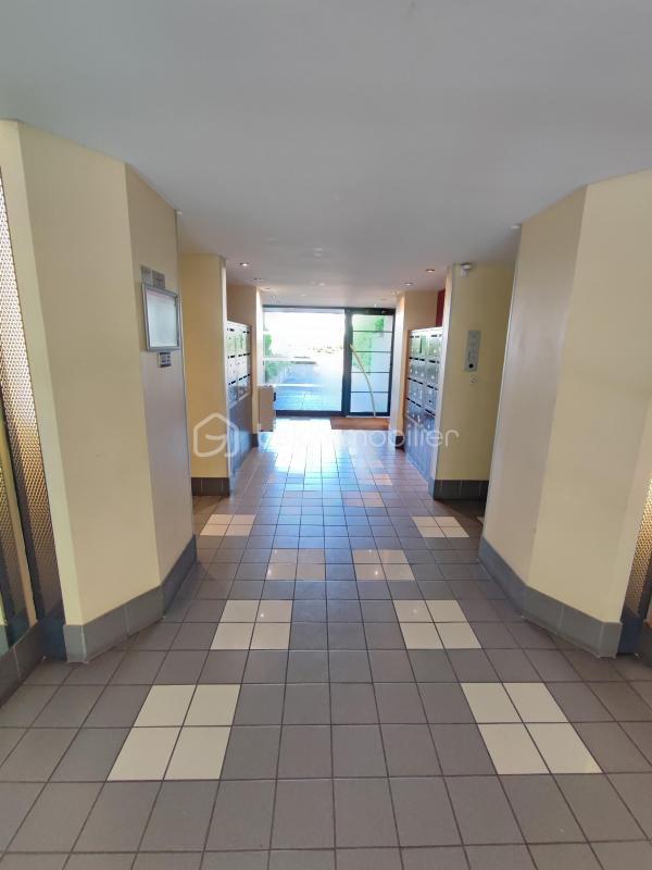 Studio - 31 m² - 1 pièce