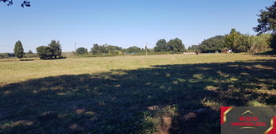 Terrain agricole - 15 000 m²