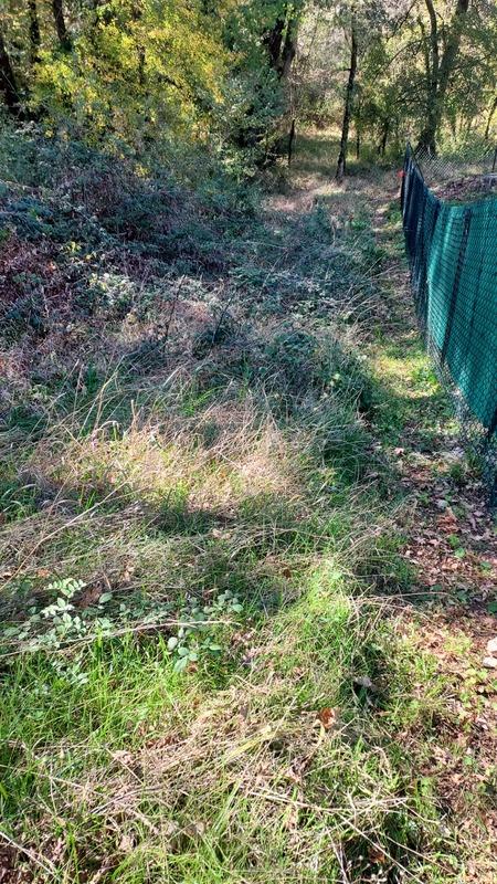 Terrain constructible - 1 255 m²