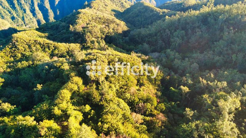 Terrain - 640 000 m²