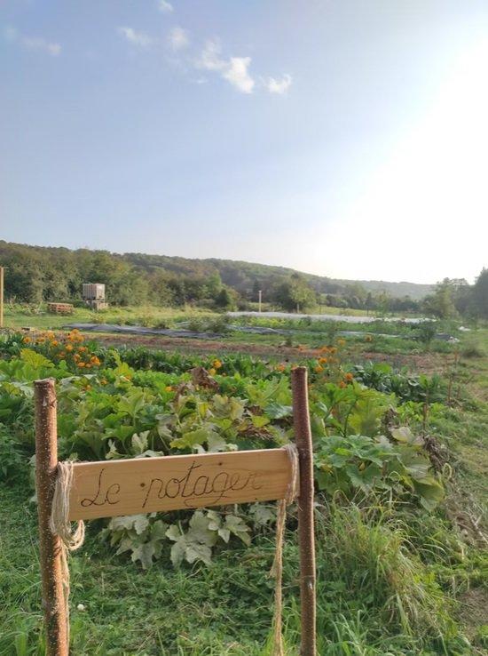 Terrain de loisirs - 200 m²