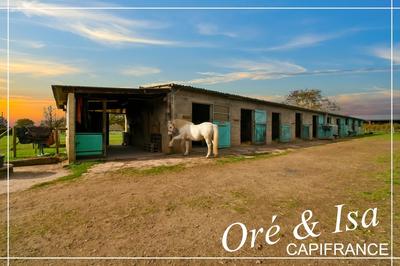 Haras - 237 m² - 7 pièces