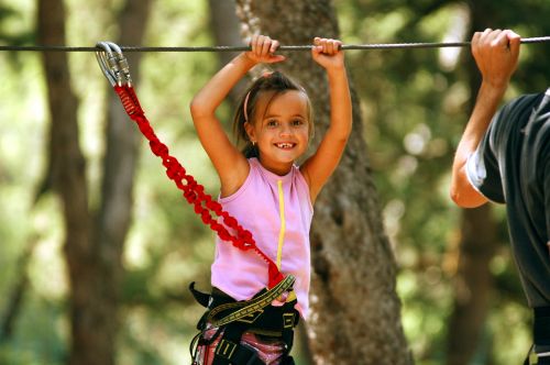 La Forêt d'Acrobates