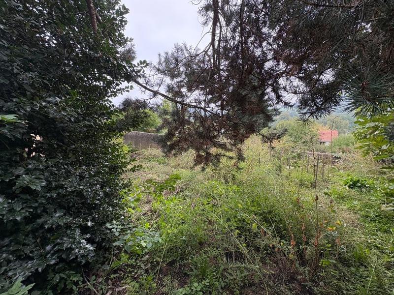 Loft - 65 m² - 1 pièce