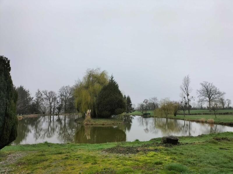 Terrain - 12 264 m²