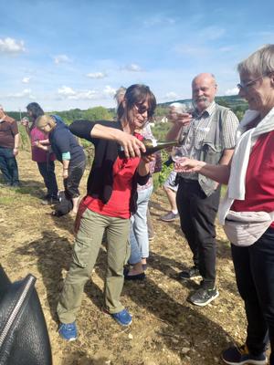 Sur les Pas du Vigneron