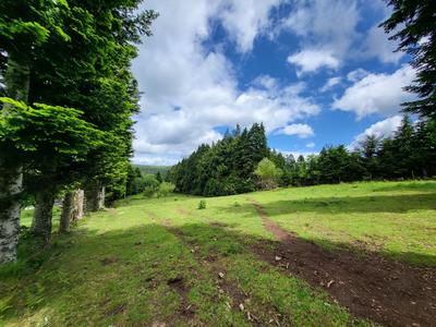 Maison - 151 m² - 4 pièces