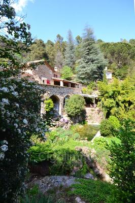 Maison en pierre - 279 m² - 11 pièces