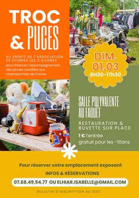 Trocs et puces
