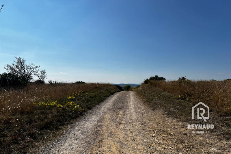 Terrain agricole - 5 600 m²