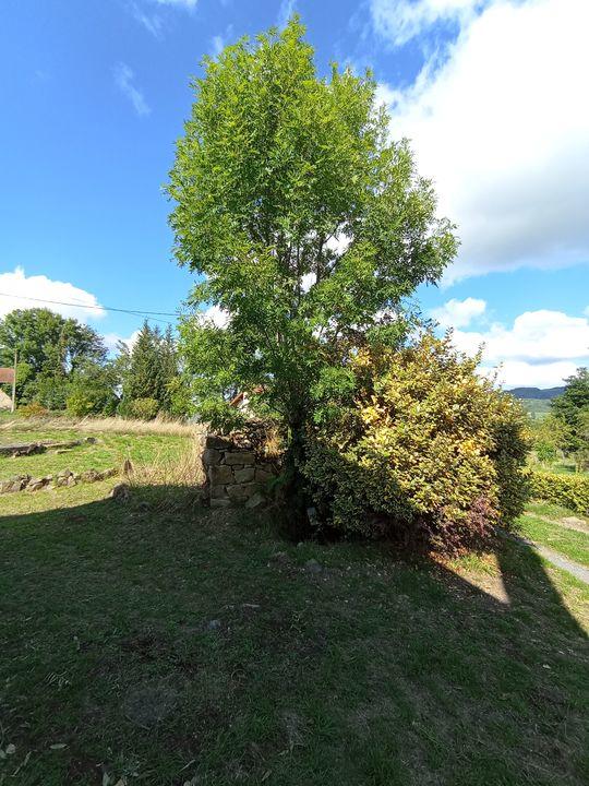 Maison de campagne - 70 m² - 4 pièces