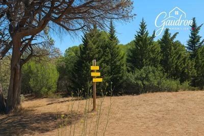 Terrain de loisirs - 6 070 m²