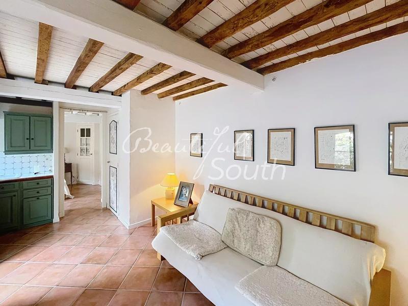 Hôtel particulier - 280 m² - 9 pièces